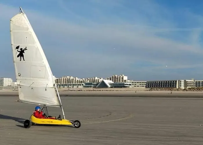 Apartmán Joie De Vivre